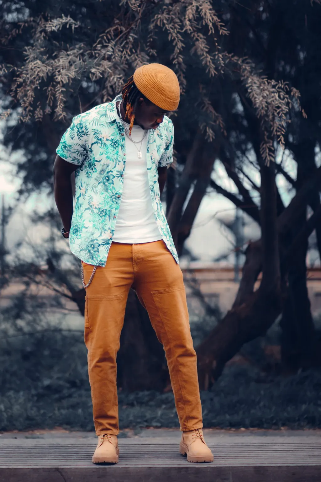 pexels-el-gringo-photo-116752370-12055341-6abbba5e5e1ee